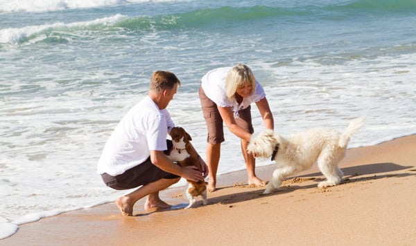 saltwater-shores-couple-dog-beach-600-356