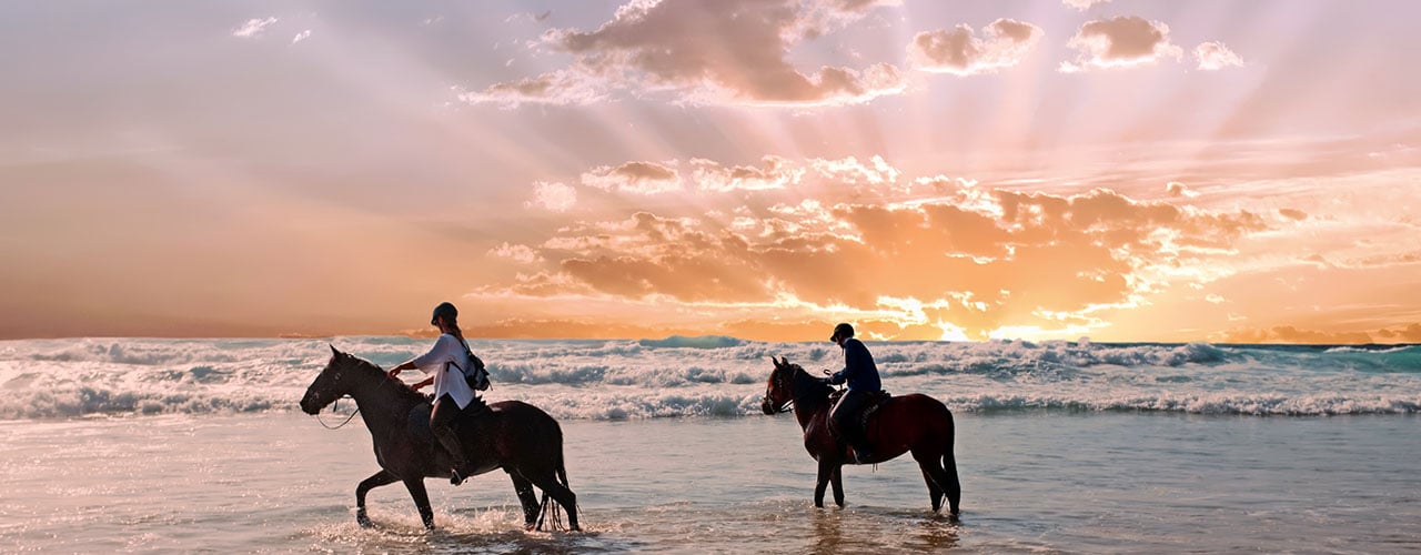 saltwater-shores-horse-beach-1280-500