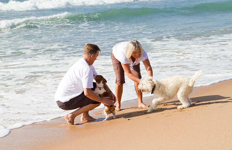 A Buyer's Guide to Community Title Land in NSW